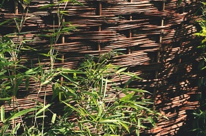 Fotogalerie