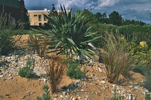 Fotogalerie