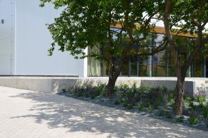 Fotogalerie