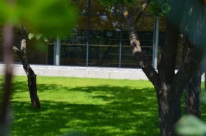 Fotogalerie