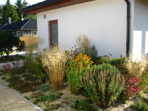 Fotogalerie