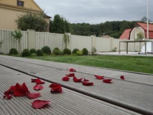 Fotogalerie