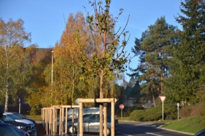 Fotogalerie
