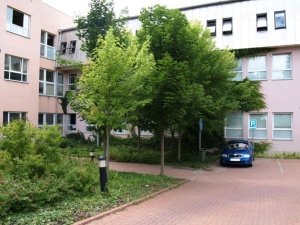Fotogalerie