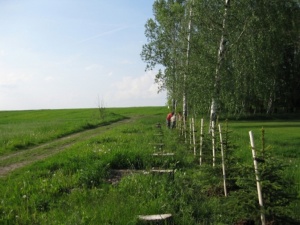 Fotogalerie