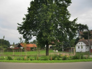 Fotogalerie