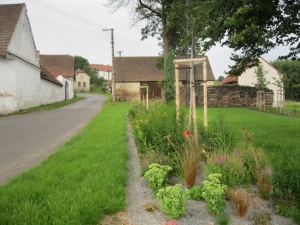 Fotogalerie