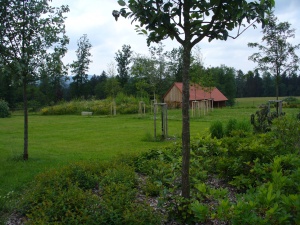 Fotogalerie