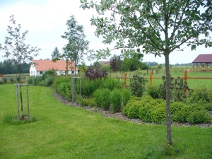 Fotogalerie