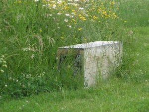 Fotogalerie