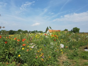 Fotogalerie