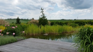 Fotogalerie