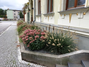 Fotogalerie