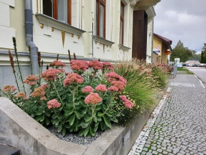 Fotogalerie