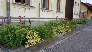 Fotogalerie