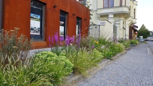 Fotogalerie