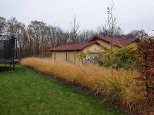Fotogalerie