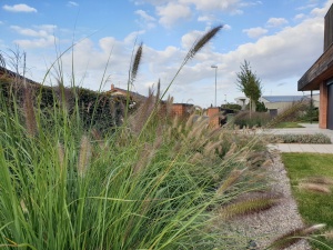 Fotogalerie