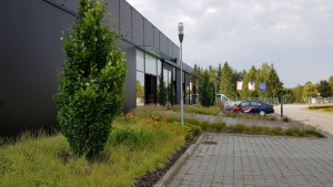 Fotogalerie