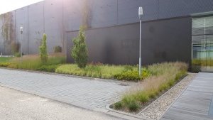 Fotogalerie