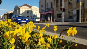 Fotogalerie