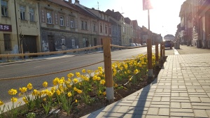 Fotogalerie