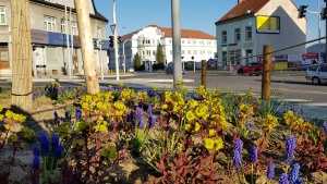 Fotogalerie