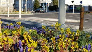 Fotogalerie