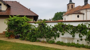 Fotogalerie