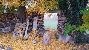 Fotogalerie