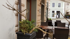 Fotogalerie