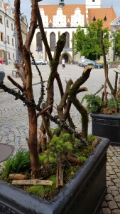 Fotogalerie