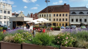 Fotogalerie