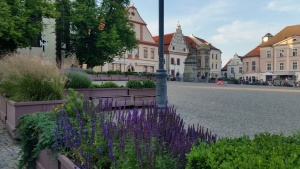 Fotogalerie