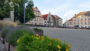 Fotogalerie