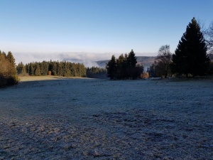 Fotogalerie