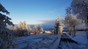 Fotogalerie