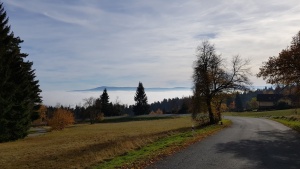 Fotogalerie