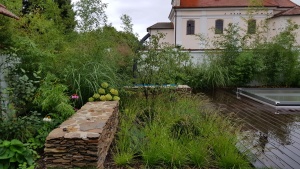 Fotogalerie