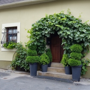 Fotogalerie