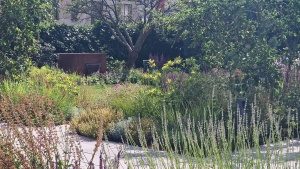 Garden with a barn, Tábor – photo 1