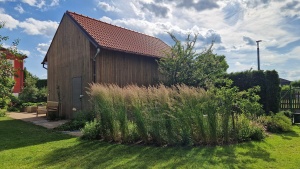 Garden with a barn, Tábor – photo 4