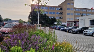 KALAS company premises, Tábor – photo 5