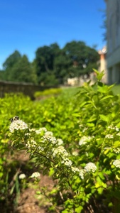 Gymnázium Tábor – terasy nad Jordánem – fotografie 9